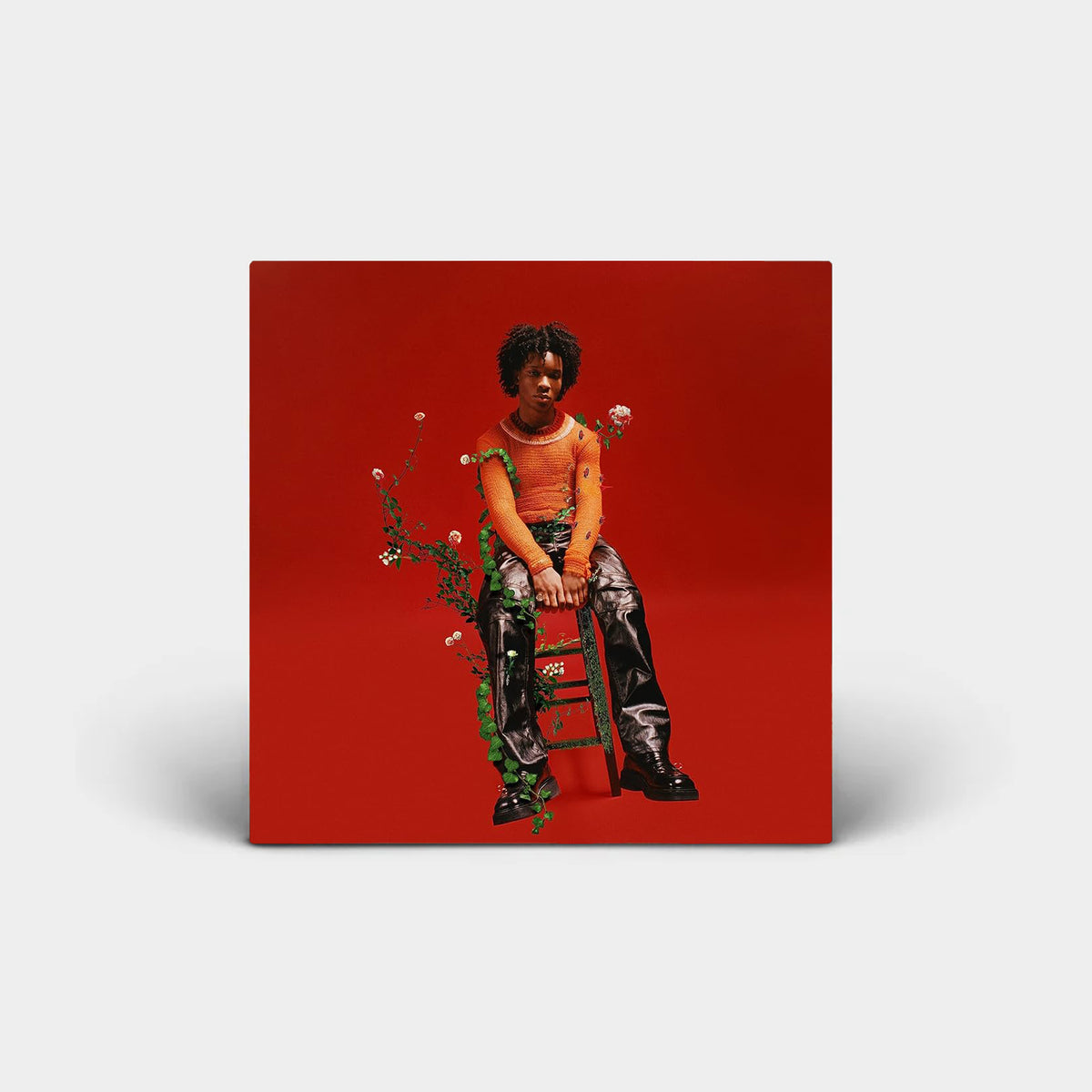 d4vd_petals_to_thorns_1200x120