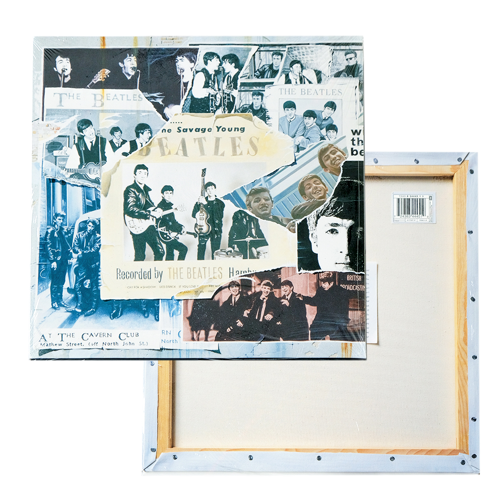 The Beatles Anthology 1 Vinyl