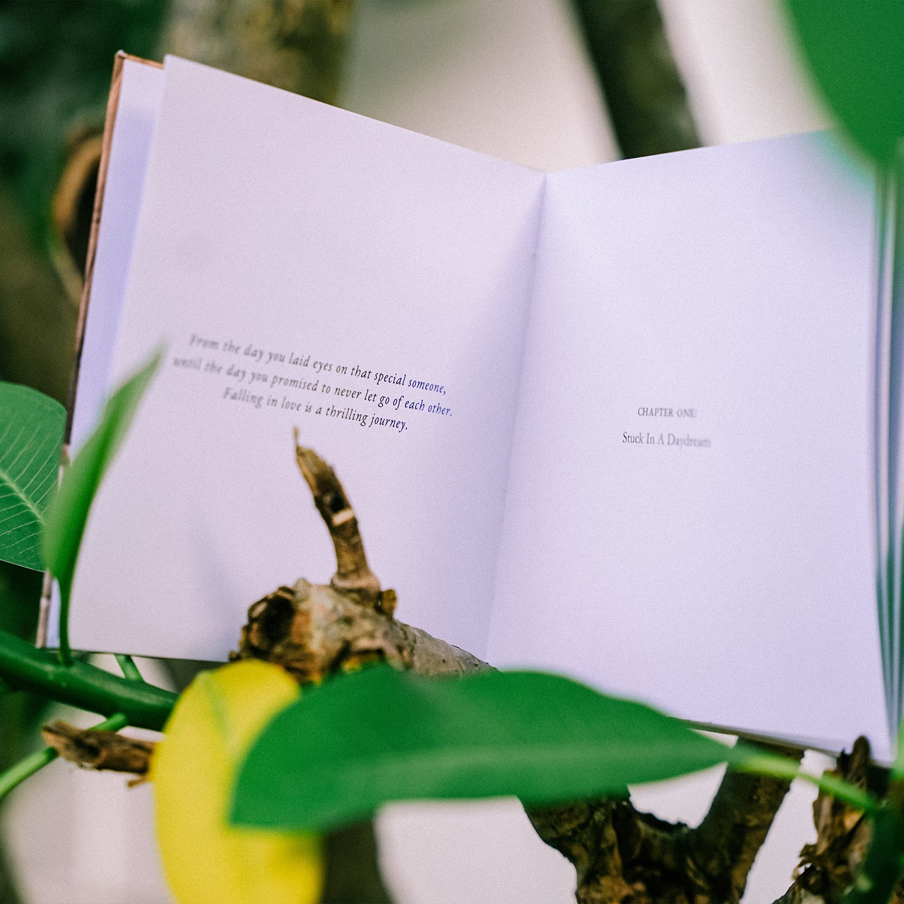 Vira Talisa – Bloomingtale Exclusive CD +  Hardback Book