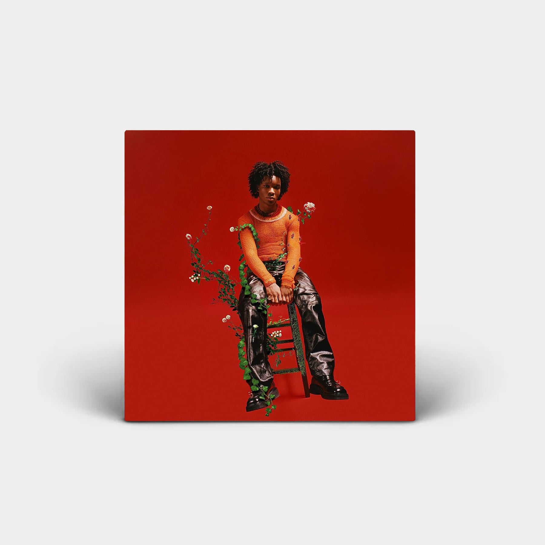 d4vd - Petals to Thorns Vinyl